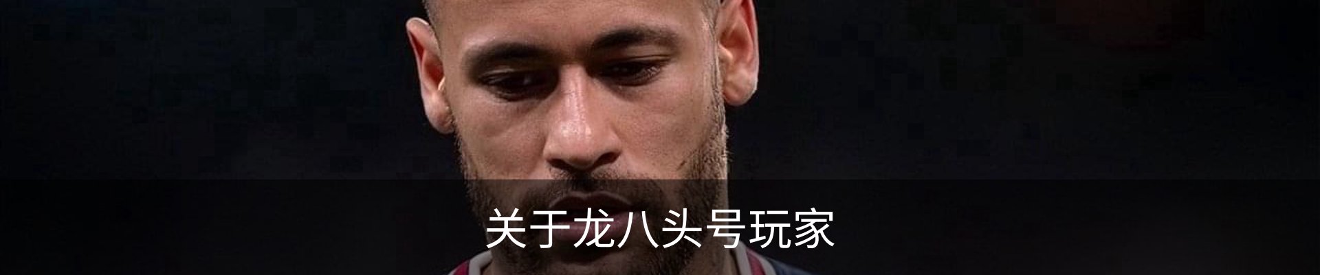 关于龙八头号玩家